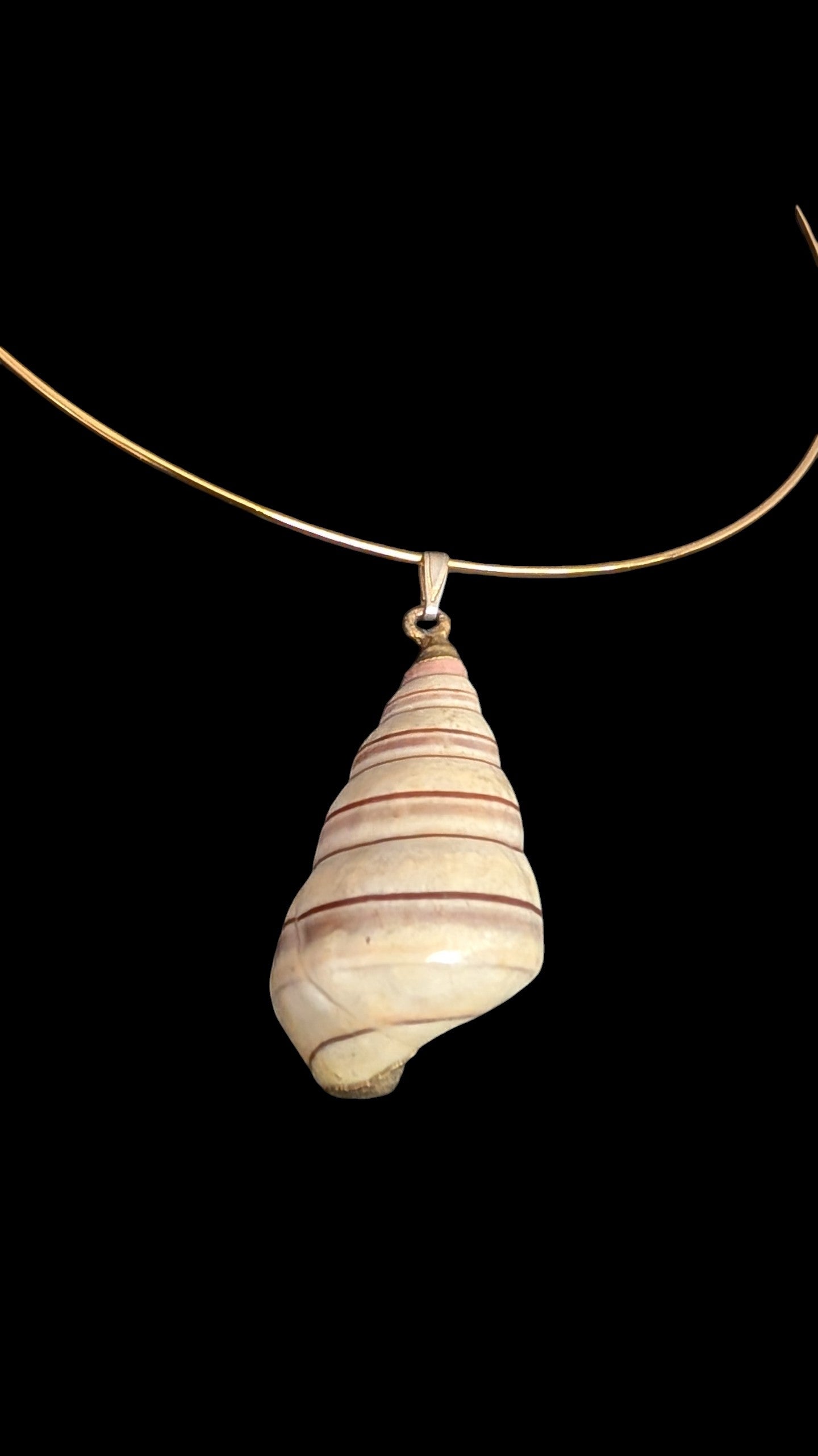 Coastal Spiral Shell Collar