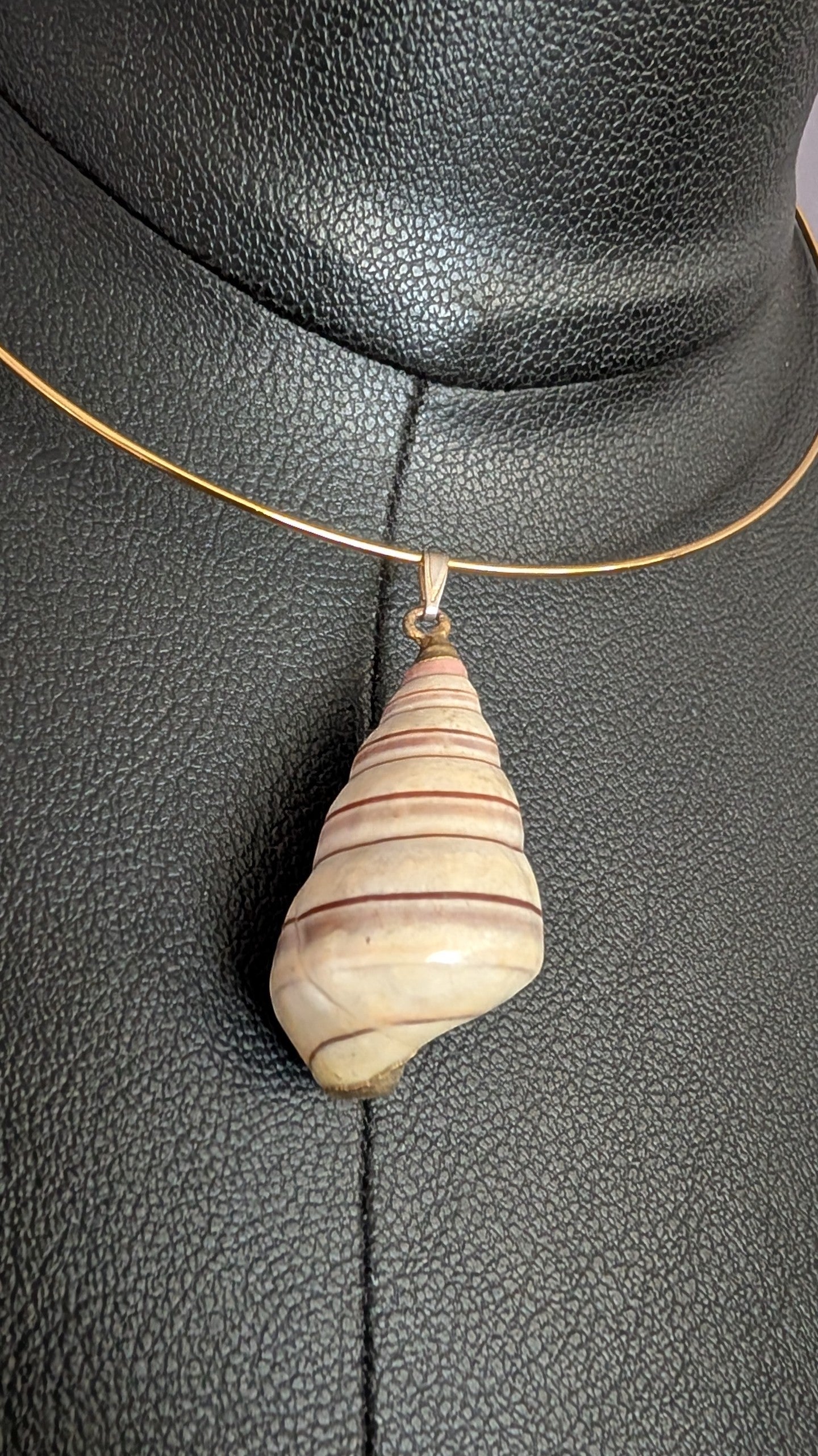 Coastal Spiral Shell Collar